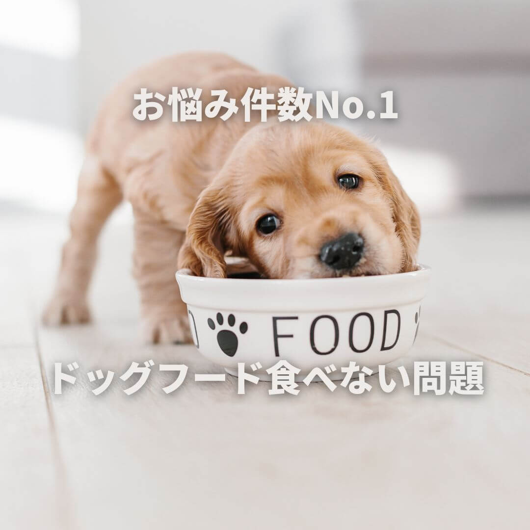 お悩み件数No.1-2-1.jpg